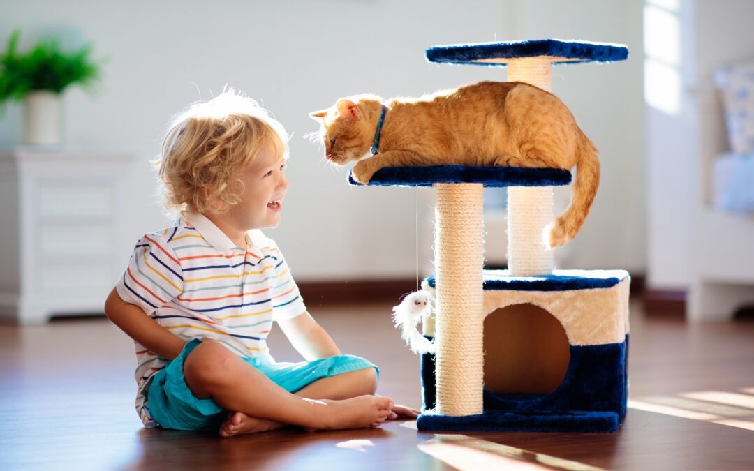 Bringing Home a Kitty? 14 Expert Tips to Prepare Your Home