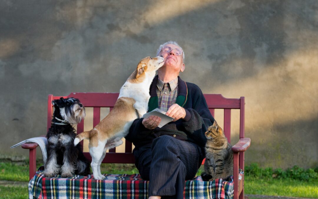 man on bench with 2 dogs and a cat